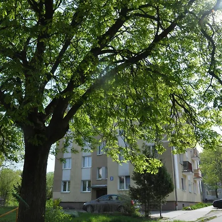 Apartmán Nowoczesny Na Warmii Biskupiec (Olsztyn)